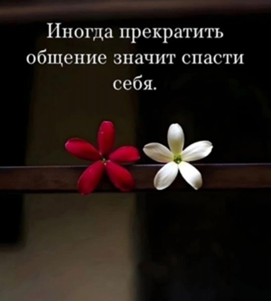 IMG-20250828-WA0182