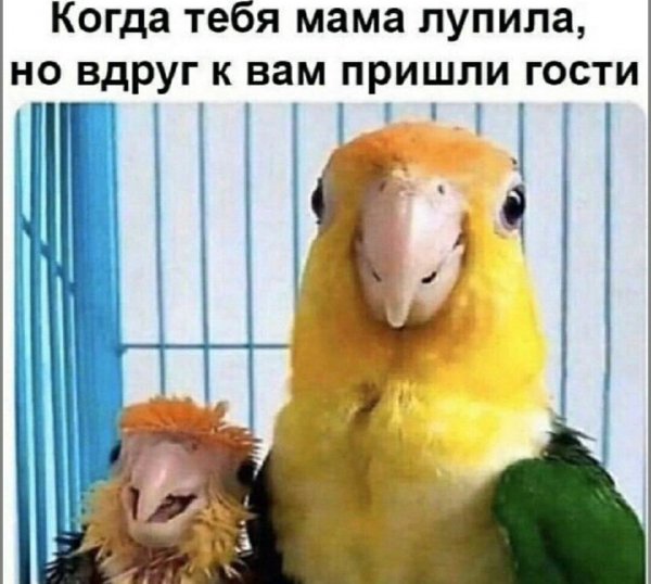 p.1200.1200.0