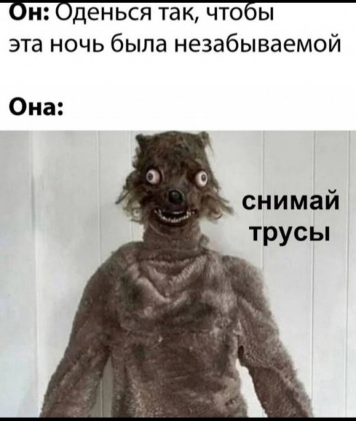 c 20271440