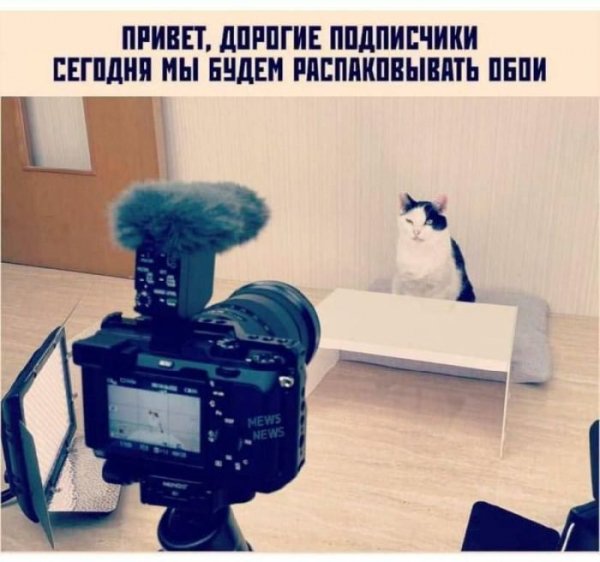 Jumora-v-memah-i-prikolnyh-fotografijah-v-pjatnicu-14