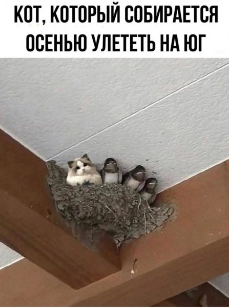 p.1200.1200.0