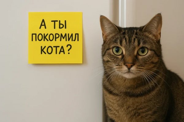 А ты уверен что покормил кота ? )