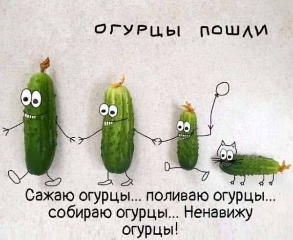 FB IMG 1755700482466