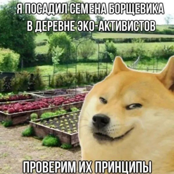 UID3164448 1744028532 51