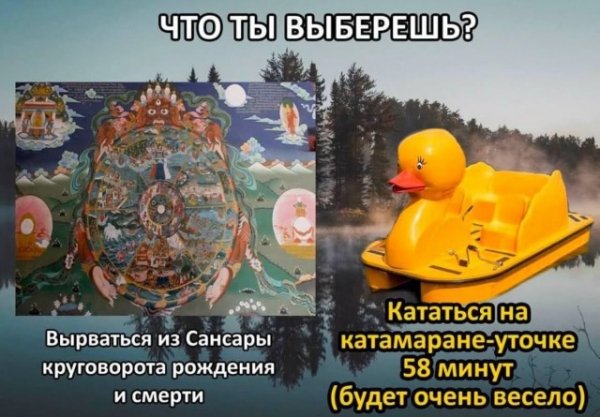 Ee849a3ba1 20275601