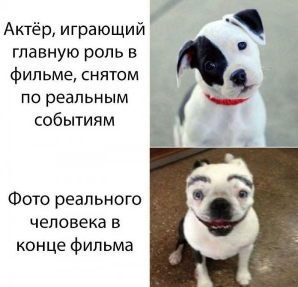 Na-malenkuju-sredu-memy-i-pozitivnye-fotografii-13