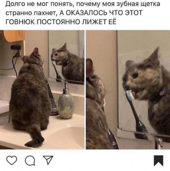 4bbd797d46 20294665