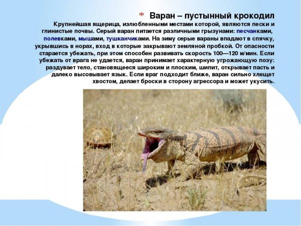 Варан