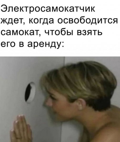 8e1fe71846 20294648