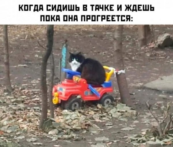 d21 20292206