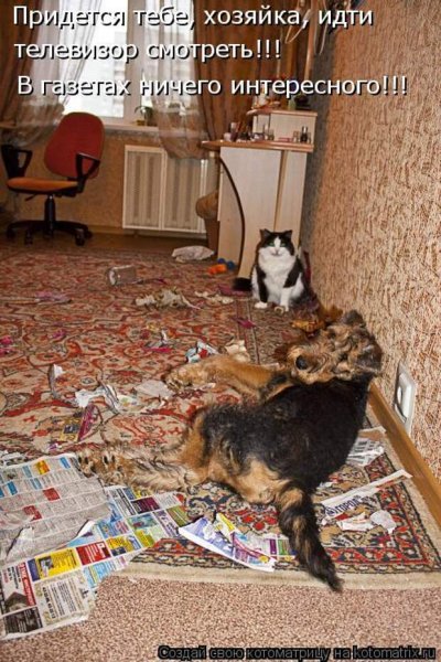 Ничего интересного!!!