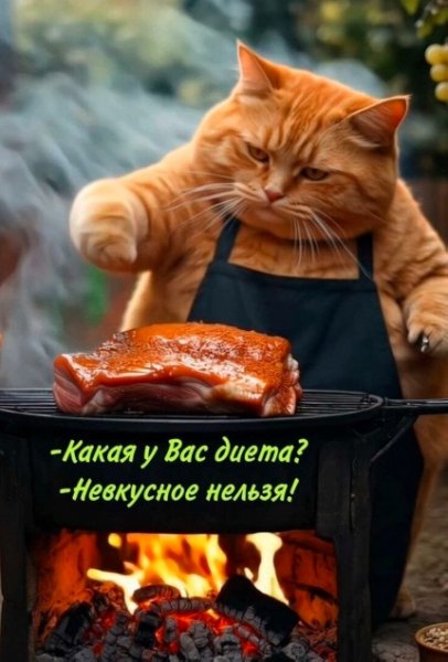 B42d9b811c 20271526