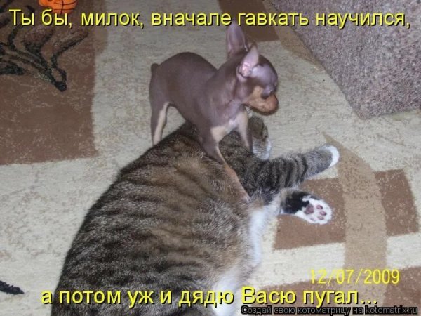 И то верно! )))