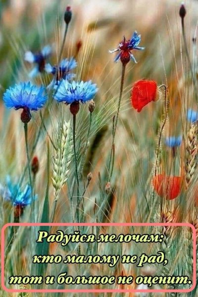 Dad47496-86ac-42b5-bf70-9da41dd33fb3
