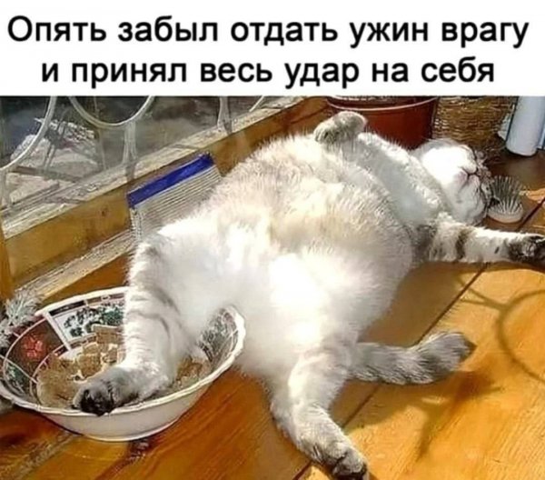 p.1200.1200.0