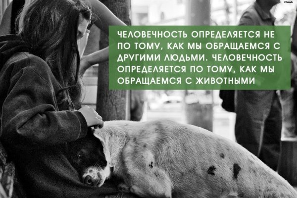 Человечность...