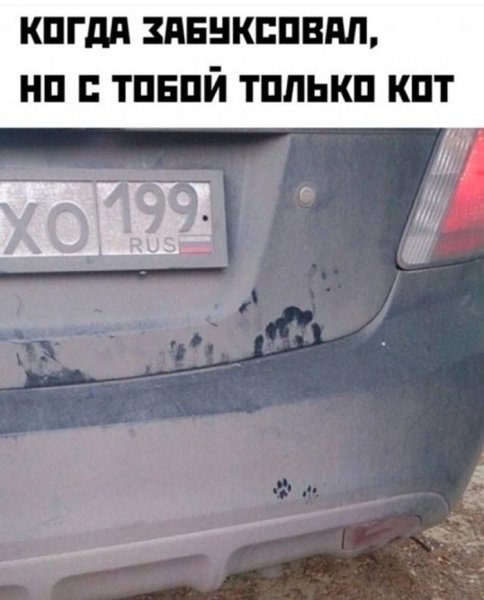 ff7de amoralnyj-jumor-v-memah-dlja-teh-kto-ponimaet-2