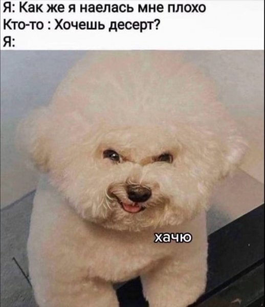 Jumora-v-memah-i-prikolnyh-fotografijah-v-pjatnicu-12