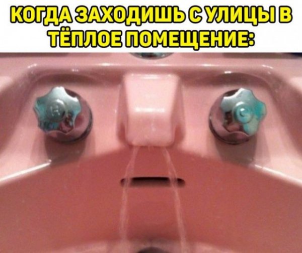 9c7031a7be 20272770
