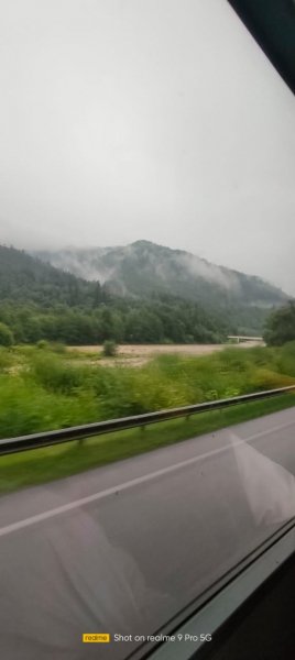 picture_393418542
