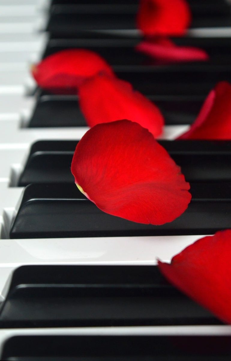 rose petals, wedding song, piano, piano keyboard, keyboard, make music, concert, songs, love song, to sing, choir, sounds, music, melody, love for music, birthday song, date of birth, birthday greeting, valentine, valentine's day, love, petals, red petals