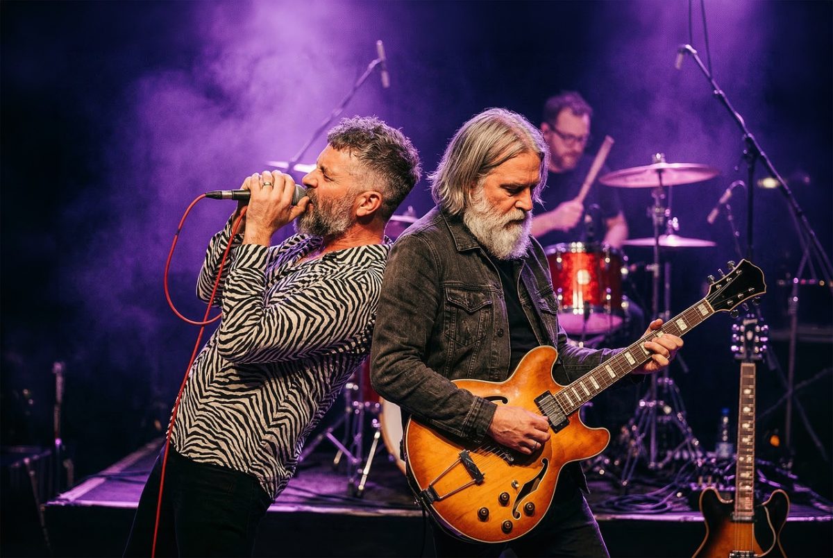 band, musicians, live music, concert, stage, singer, guitarist, drummer, performance, music, entertainment, rock, energetic, passionate, purple light, non, microphone, electric guitar, drums, men, ai generated