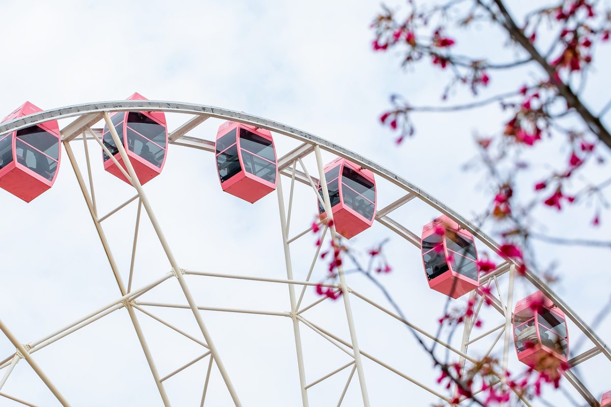 ferris wheel, gondolas, beautiful flowers, red, flowers, spring, sky, nature, flower background, amusement, wheel, flower wallpaper, tourism, attraction, outdoor, clear day, minimal design, recreation, panoramic