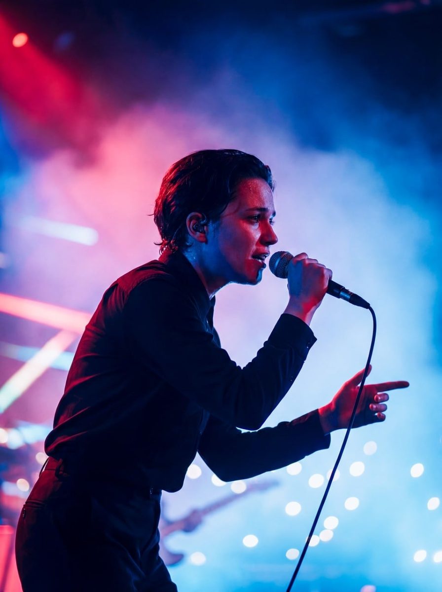 concert, music, party, violin, sound, musician, singer