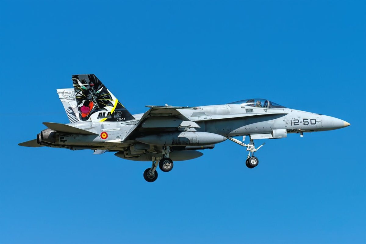 aircraft, f18, jet, military, aviation, fighter, plane, hornet, blue sky, nato, mcdonnell douglas, landing gear, wing, military version, spain, markings, propeller, fly
