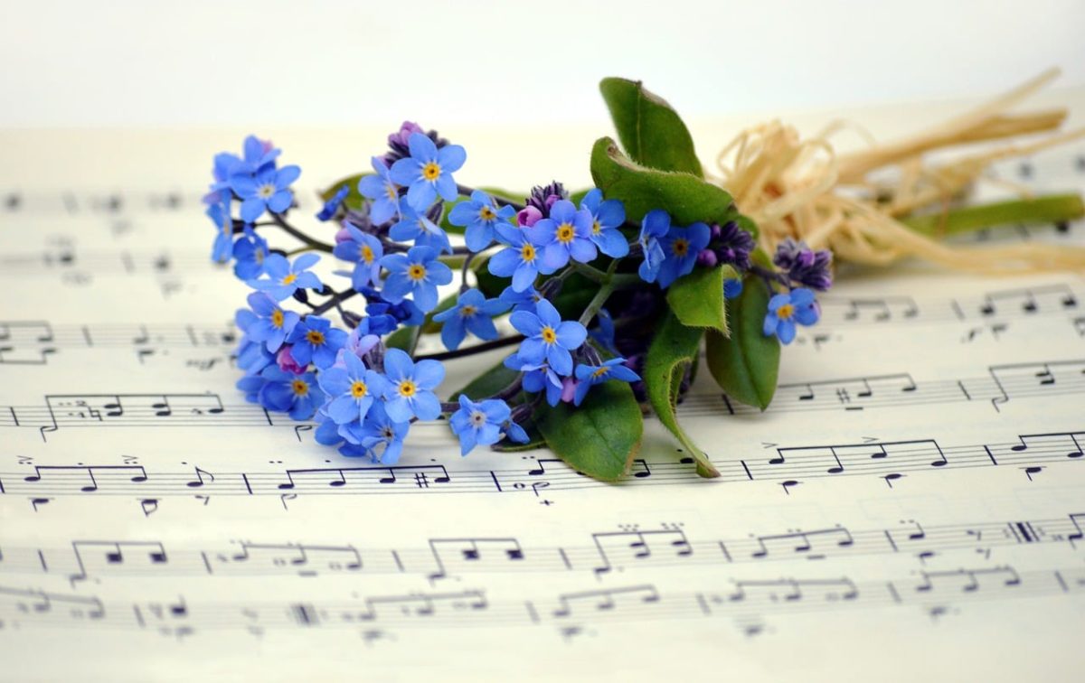 forget me not, blossoms, flower, grades, sheet music, teacher gradebook, make music, concert, songs, to sing, choir, sounds, music, melody, love for music, notenblatt, birthday song, date of birth, birthday greeting, hd background, spring songs, spring