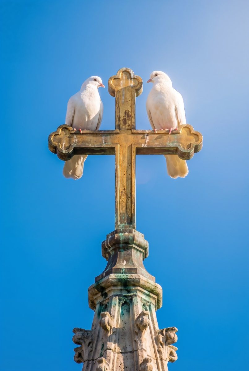dove, cross, white, nature, sky, blue, peace, religion, faith, holy, statue, architecture, heaven, symbol, light, serenity, church, purity, stone, culture, lighting