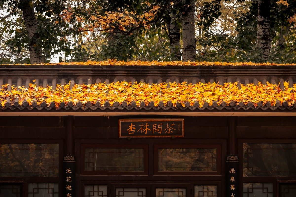 leaves, autumn, trees, tea, sign, ancient, architecture, house, history, fall, asian, garden, culture, landscape, chinese, fallen leaves, nature, peaceful, calm, roof