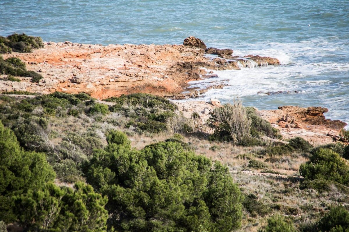 beach, water, natural, nature, surf, coast, travel, cove, cliffs, summer, shore, spain, mountains, untouched nature, scrub, blue water, rocks, trees, wilderness, horizon