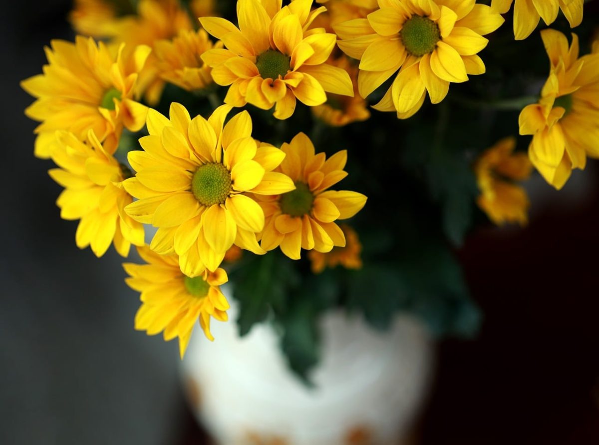 flowers, yellow gerbera, nature, vase, blooming, yellow, decoration, interior, bouquet, home, flower background, floral arrangement, beauty, bright colors, houseplant, flower wallpaper, beautiful flowers, yellow flowers, romantic, artistic, detail