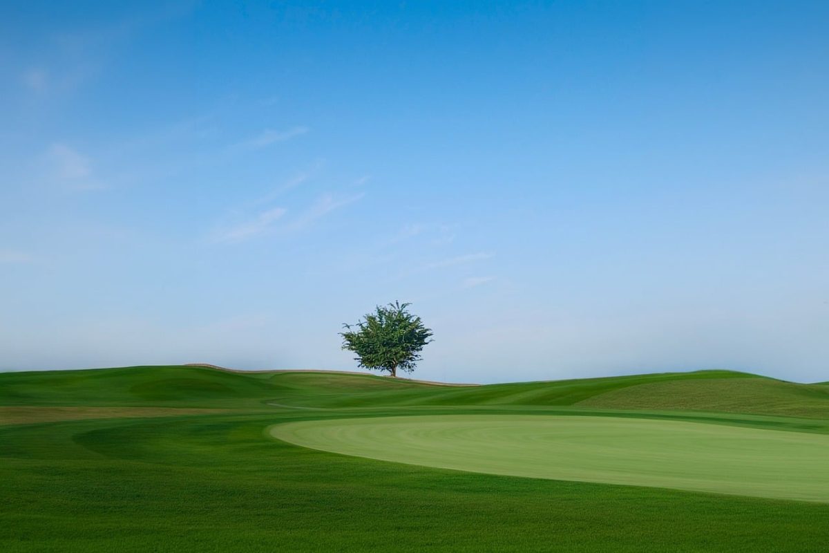 golf course, tree, blue sky, summer, tranquility, nature, sport, grass field, solitude, greenery, countryside, hills, lonely landscape, soft light, peaceful landscape, lone tree, short grass, space, natural beauty