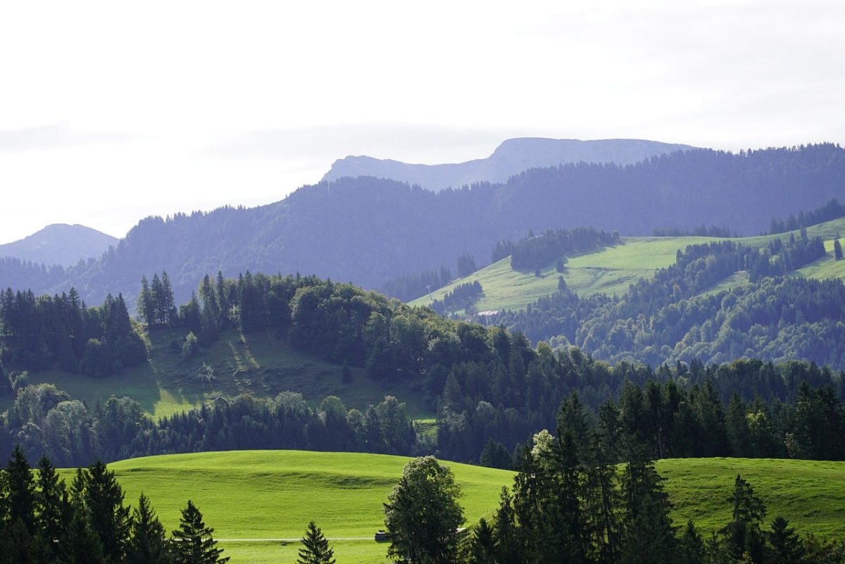 landscape, alps, nature, mountains, trees, forest, green, meadow, sunny, panorama, tranquility, morning, horizon, alpine meadows, mediterranean, agricultural, mountainous, travel, hiking, charming