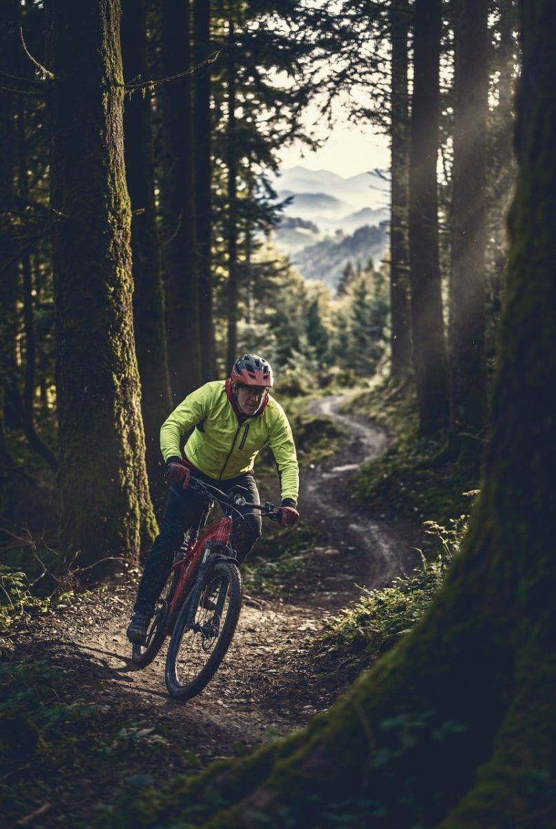 mountain biking, forest trail, cyclist, mountains, nature, cycling, adventure, sport, outdoors, slope, motion, trees, clear, bike, adult male, natural beauty, solitary, ahead, road, challenging