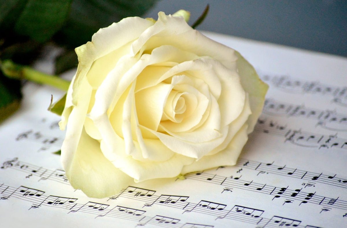 yellow rose, sheet music, happy mothers day, romantic, love, valentine, music, flower, love song, wedding song, relationship, emotions, in love, musical notes, affection, greetings, spiritual song, background, art, romantic song