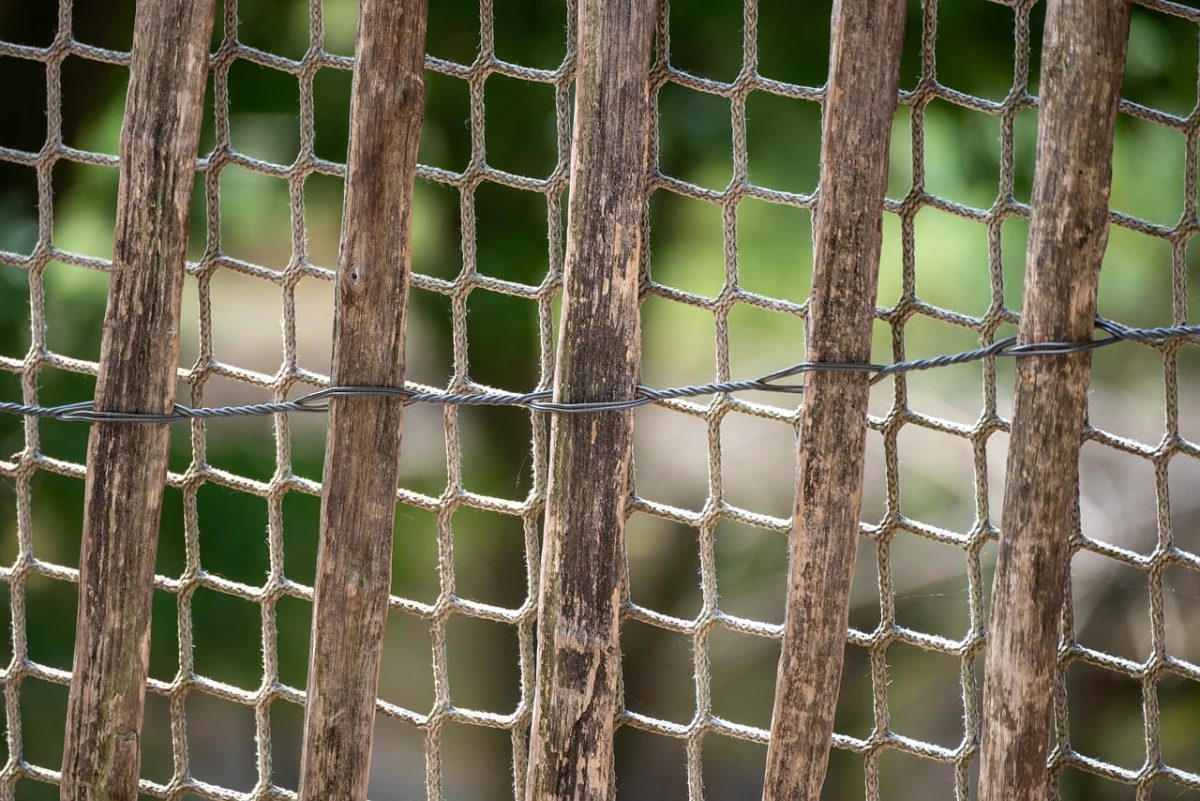 fence, texture, wood, net, squares, geometric, background, cord, fabric, shadow, design, rope, stripe, plastic, outdoor, natural, wooden fence, greenery, nature, nice
