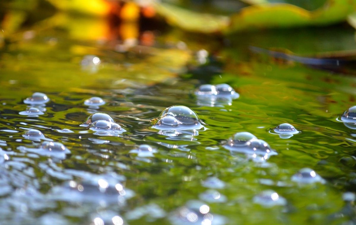 water, bubbles, reflection, leaves, green, nature, abstract, pattern, calm, surface, waves, liquid, art, light, hydration, feeling