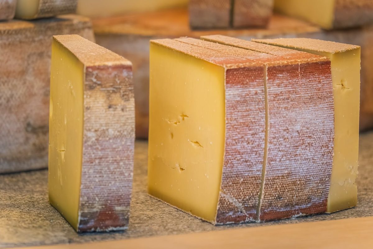 cheese, rind cheese, aged cheese, cheese wedge, traditional cheese, artisan cheese, sandwich cheese, swiss cheese, cheese block, savory cheese, cheese tasting, cheese in kitchen, cheese delicacy, cheese rind finish, artisan cheese making, flavorful cheese, tasting cheeses, cheese formation