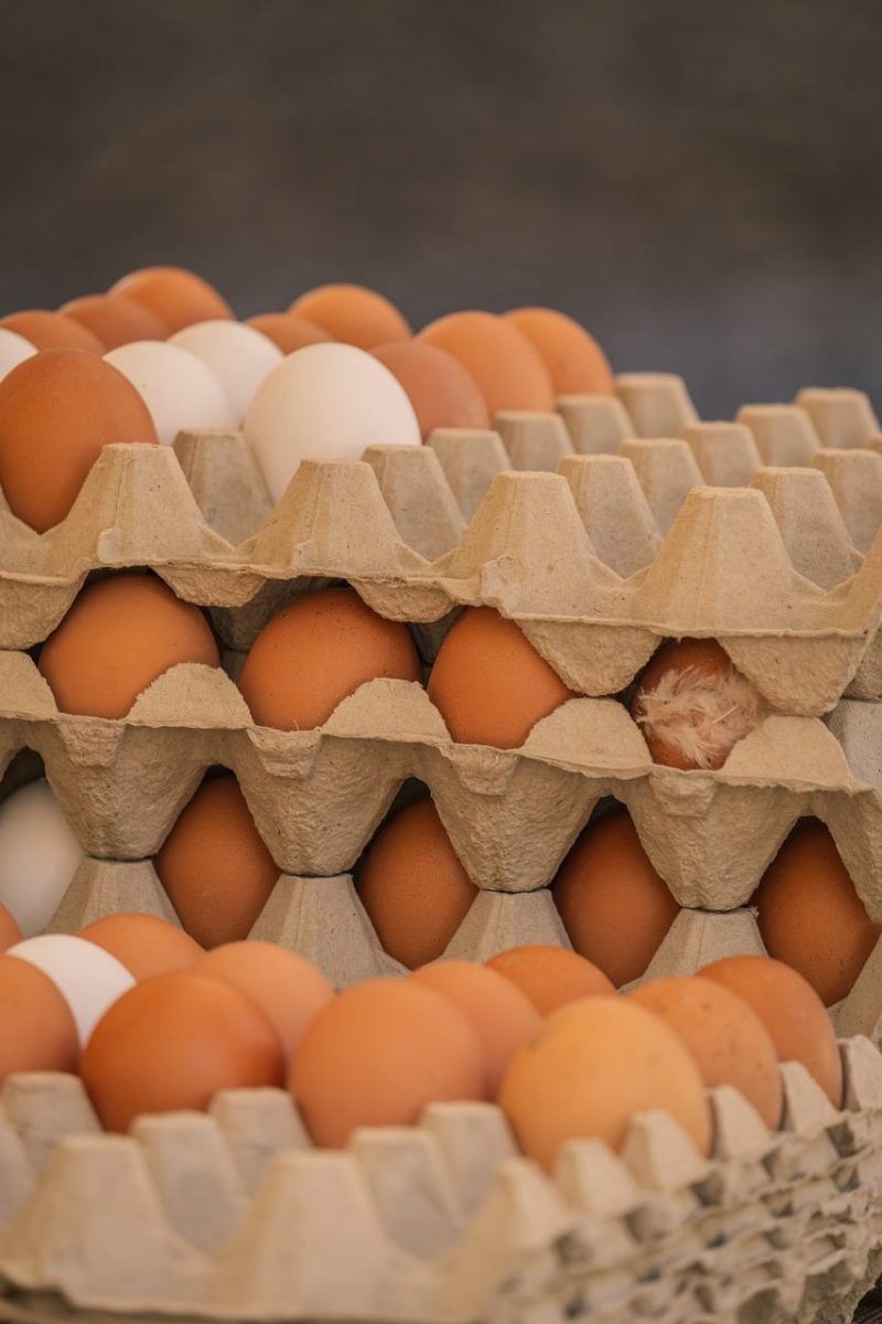 egg, chicken egg, brown egg, egg carton, texture, food, protein, agriculture, traditional, fresh, kitchen, natural, breakfast, nutrition, cooking, ingredient, calcium, agricultural product, wholesale, locally produced