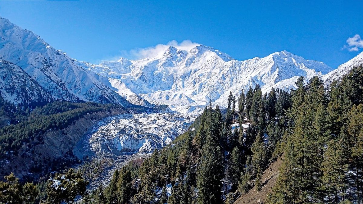 himalayas, nanga parbat, mountain, snow, forest, tree, sky, cloud, nature, panorama, peak, mountain range, hiking, pakistan, rakhiot, valley, landscape, winter, natural beauty, view