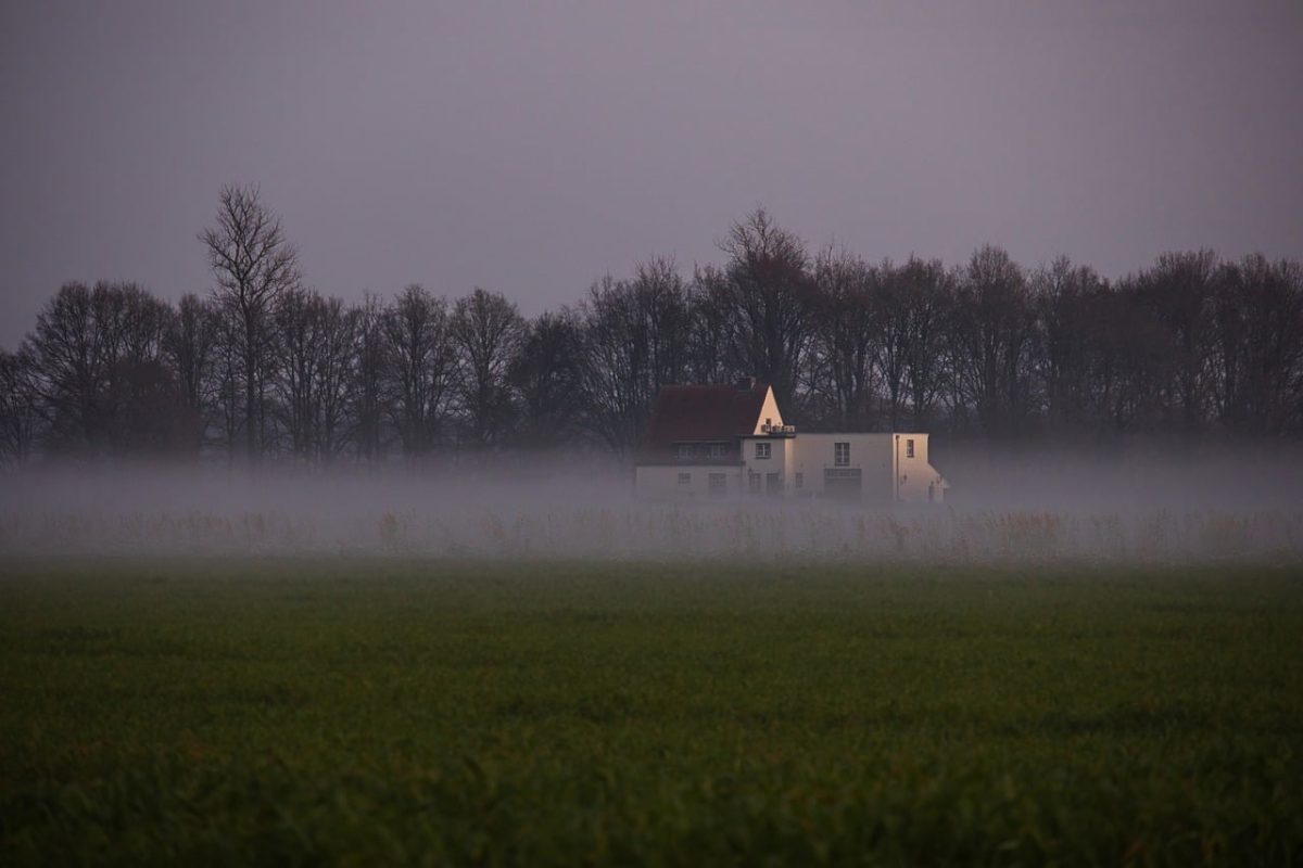 fog, solitude, sunset, trees, rural, peace, farmhouse, autumn, mystical, twilight, cottage, house, winter, field, horizon, morning, house in fog, peaceful, meadow, countryside, nature, mysterious