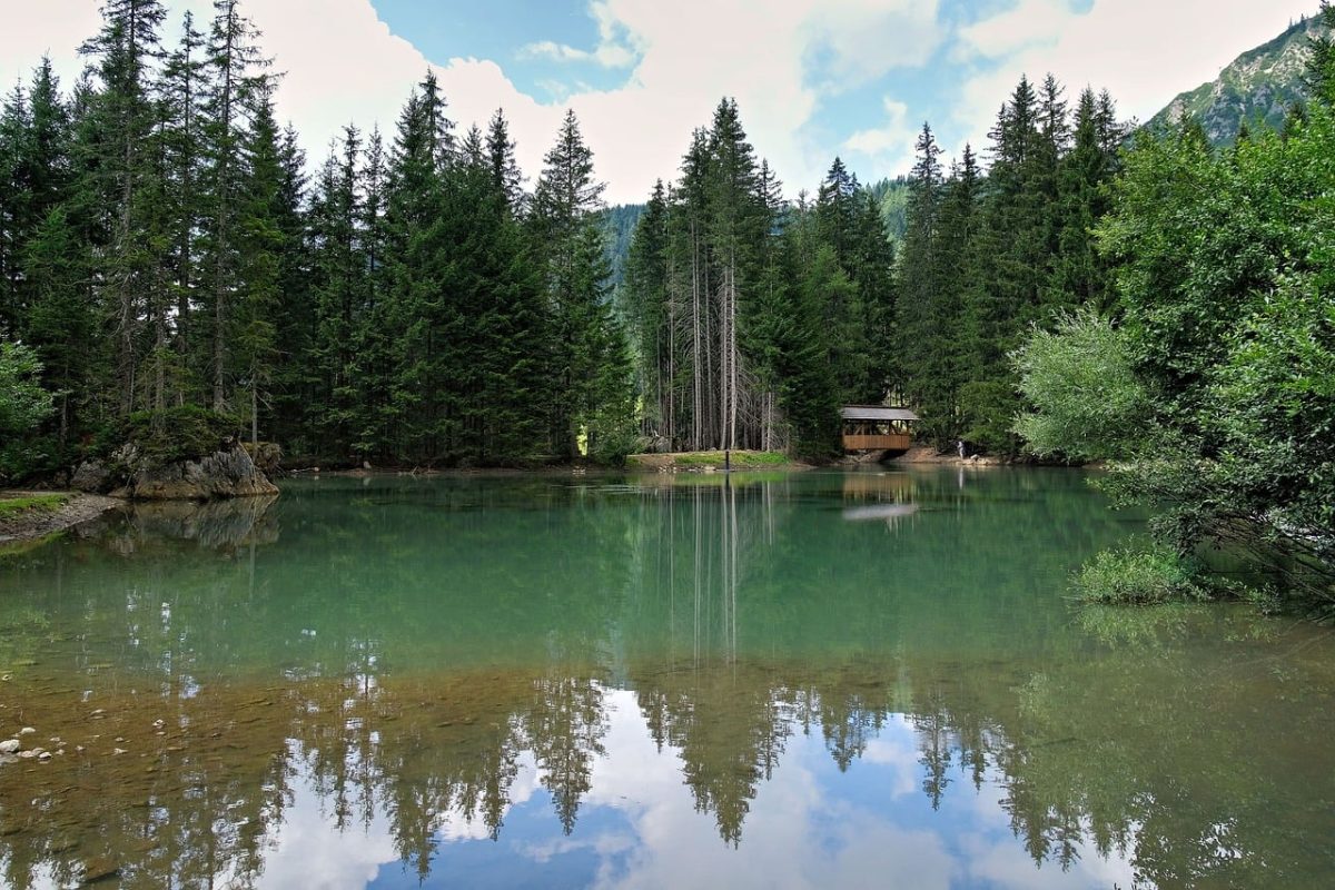 forest, lake, pine, tranquility, reflection, natural landscape, water, wooden cabin, mountain range, hiking, green color, reflection on water surface, landscape, countryside, summer season, vacation, tourist spot, nature, peaceful scenery