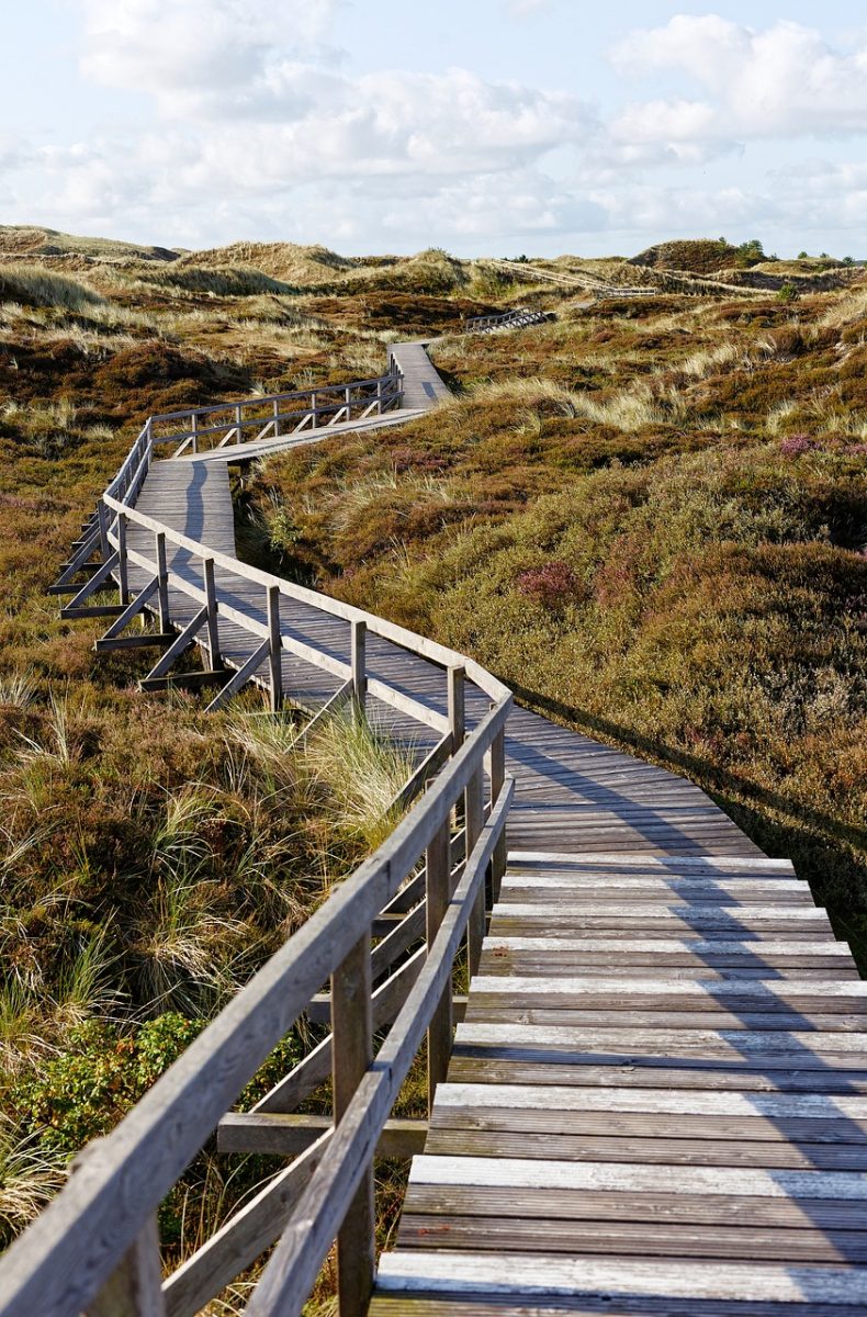 promenade, wooden pathway, nature, walkway, landscape, dunes, autumn, hiking, wooden railing, countryside, tranquility, tourist attraction, long path, clear day, calm, distance, view, relaxation, space, recreation, fresh air