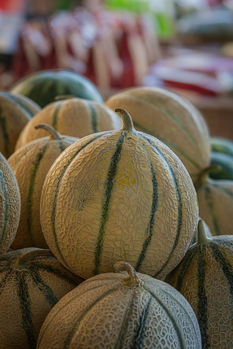 melon, market, fruit, vegetable, agriculture, farmers market, fresh, green stripe, texture, light, field, crop, variety, summer, natural, details, traditional, groceries, outdoor, stall, grey