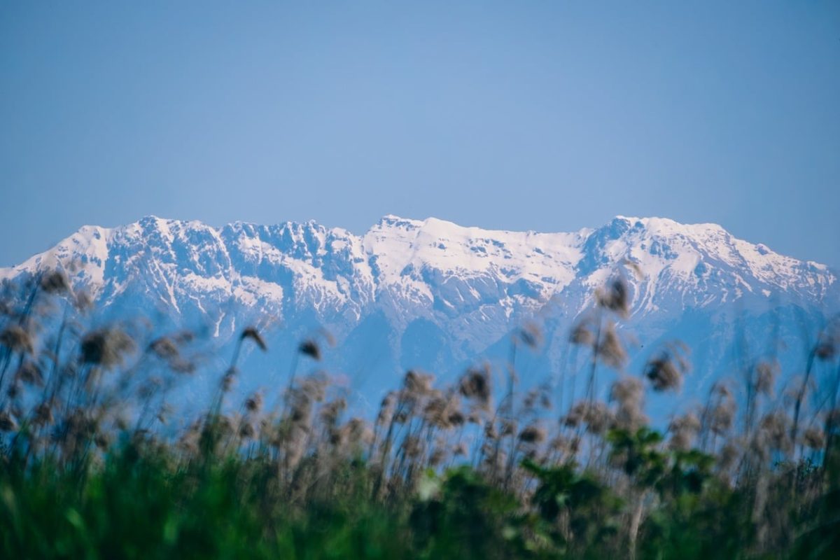 mountains, snow-capped peak, nature, antalya, blue sky, grassy field, tranquility, distant mountains, tourism, top view, spring scene, climate change, snow heaps, panoramic view, fresh air, agriculture, natural beauty, ecotourism, local landscape, green space, fauna, nature conservation