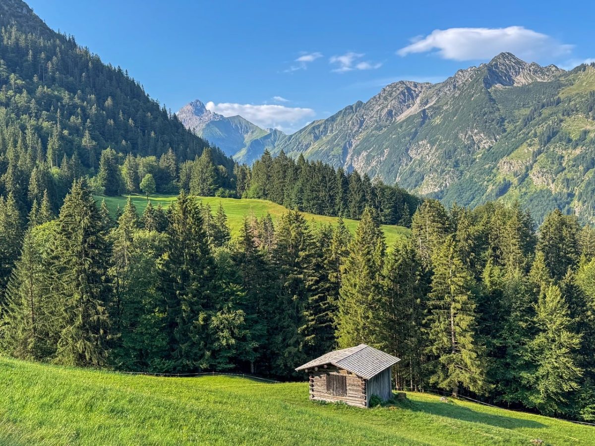mountains, nature, morning, meadow, forest, valley, alps, hut, peace, idyll, hiking, allgäu, green, country road, cottage, sky, holiday, peak, silence, mood
