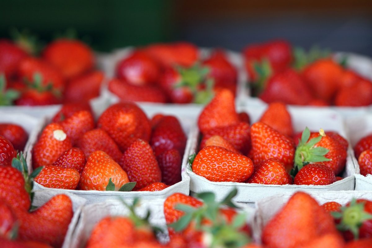 strawberries, fruit, nature, fresh, healthy, red, basket, summer, market, sale, organic, farmer, natural, dessert, season, vitamins, nutritious, popular, sweet, fresh strawberries